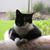 Lorraine Dazzo's profile image