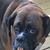 Gayle Kirchenbauer's profile image