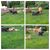 Teresa James's profile image
