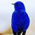 Ismael Castro's profile image