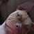 Christopher Chase's profile image