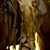Charise Kathryn Gray Baker's profile image
