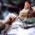 Heather Ahner's profile image