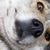Mark Stephens's profile image