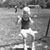 Jane Lowe Burke's profile image