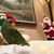 Teri Ginn-Ortiz's profile image