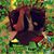 Dorlene Rose's profile image