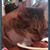 Debbie Paduani's profile image