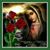 Noe Velazco's profile image