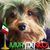 Gabriela Ramírez Arellano's profile image