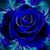 Mary Wells's profile image
