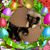 Loraine Dyches's profile image