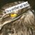 Ami Lynne Welch's profile image