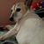 Anne Marie Tremblay's profile image