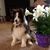 June Haverland's profile image