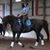 Mitzi Goodwin's profile image