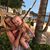 Shaunda Gaffney-Barile's profile image