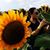 Liza Malaga Zuzon's profile image