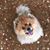 Rayme Schmayer's profile image