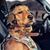 Mike Bernardo's profile image