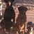 John-elizabeth Alvarez's profile image