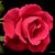 Paula Monge's profile image