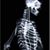 Glen Weatherley's profile image