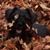 Beth Ruffing's profile image