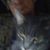 Billy Santmire's profile image