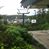 Nippon Kirey's profile image