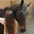 Tina Bauza's profile image