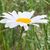Sandi Carter's profile image