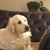 Melinda Fitzgerald Anderson's profile image