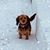 Loni LaGue's profile image