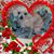 Lisa Lesik's profile image