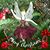 Gloria Ward's profile image