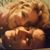 Deborah Sue Pilotto's profile image