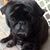 Gary Lucchese's profile image