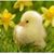 Stacie Anselmo Bourgoyne's profile image