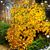 Sheri Rocha Myer's profile image