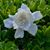 Janice Groves's profile image