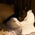 Robin Rosner's profile image