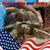 Anne Carreiro's profile image