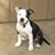 Patricia Ann Cordeiro Och's profile image