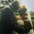 Shakeitha Shay Griffin's profile image