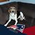 Roger Skip Spooner's profile image