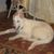 Dawn Sadir's profile image