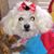 Claudia Robison's profile image