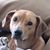Marci Shindel's profile image