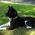 Florence Leone's profile image
